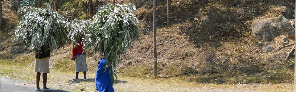 Rwanda Street view