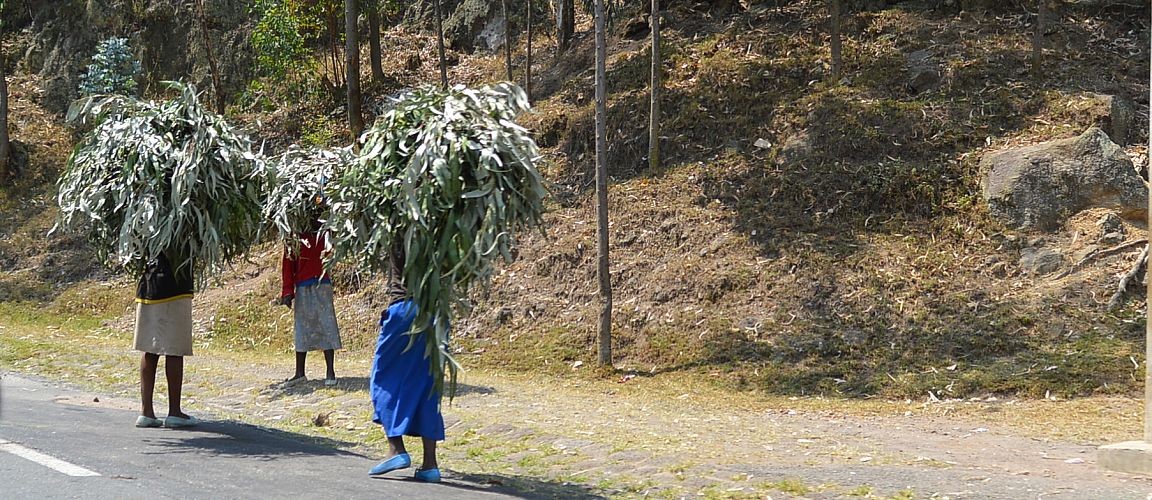 Rwanda Street view